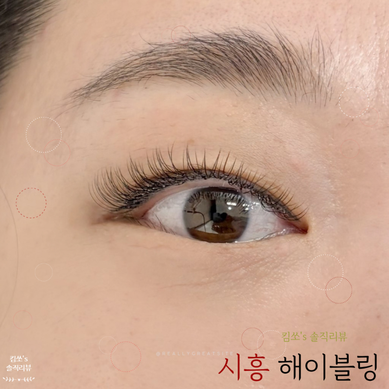 배곧속눈썹 해이블링 LED속눈썹연장 솔직후기