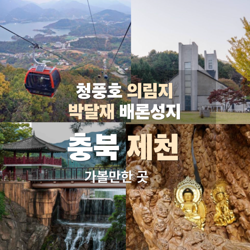 천년의 저수지 의림지와 청풍호 케이블카 타며 나들이하기! 충북 제천 가볼만한곳