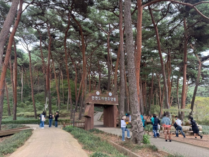 靜謐享受西海之旅 | 泰安安眠島自然休養林