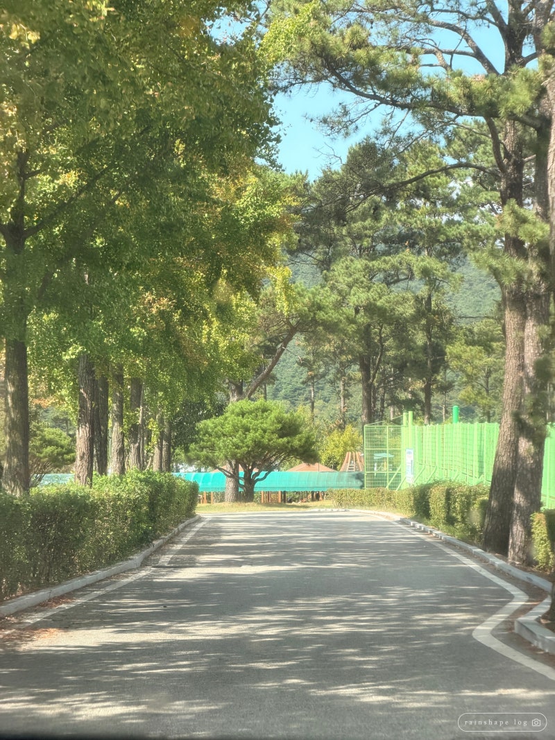 남원 백두대간 에코롯지 캠핑장｜아이 놀이터가 많아서 자꾸 가게 되는 곳
