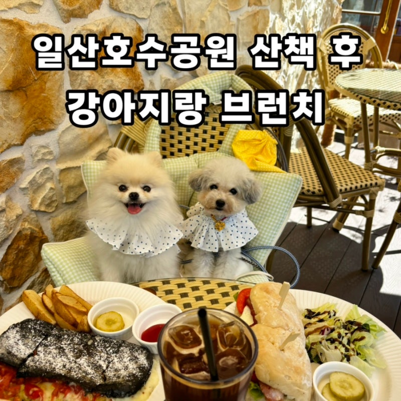 일산호수공원 애견동반 브런치 카페 납작슬리퍼 | 산책 후 바로 가기 좋은 곳