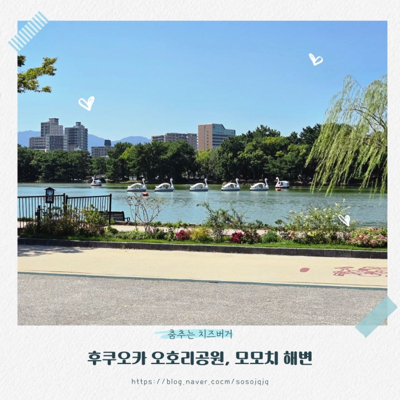 2026 후쿠오카 태교여행 Day1. 하카타역에서 오호리공원, 후쿠오카 교통카드, 모모치 해변
