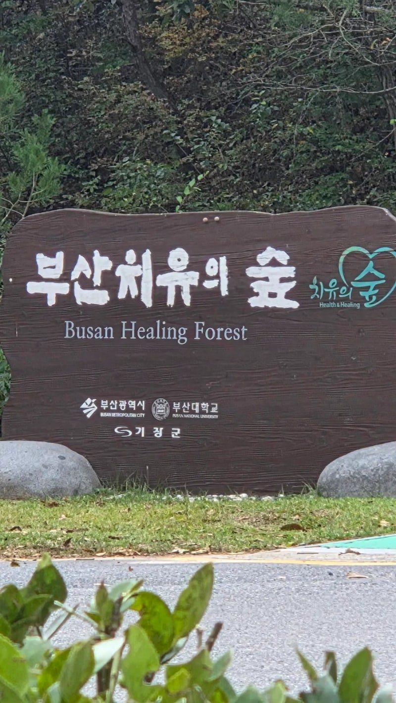 #부산 기장군 * 치유의 숲 *
