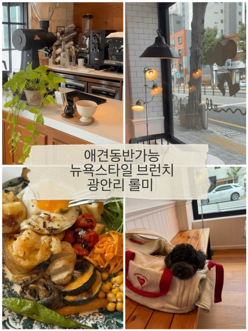 광안리 애견동반 카페 롤미｜강아지랑 브런치 즐긴 광안리