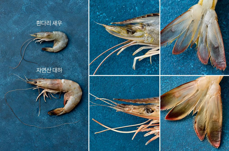대하인 줄 알고 샀는데? 흰다리새우 구별법부터 소금구이 시간까지