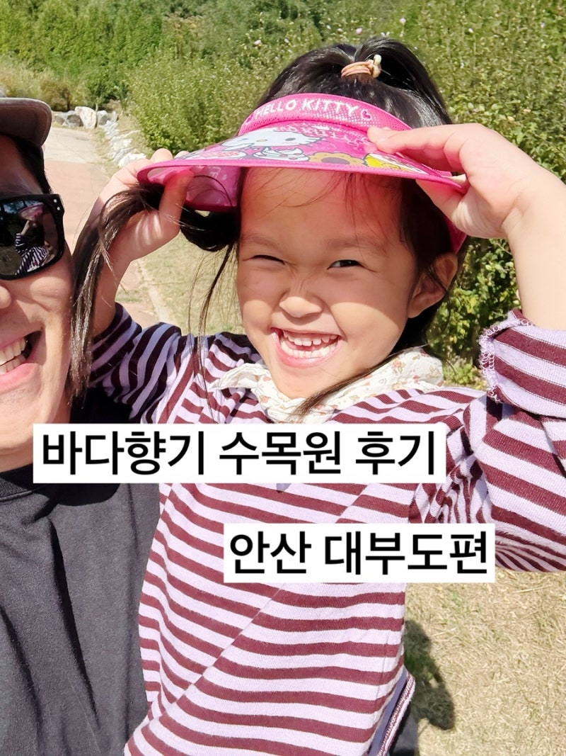 대부도 안산 바다향기수목원 아이와 가볼 만한 곳｜주차 편하고 입장료 무료