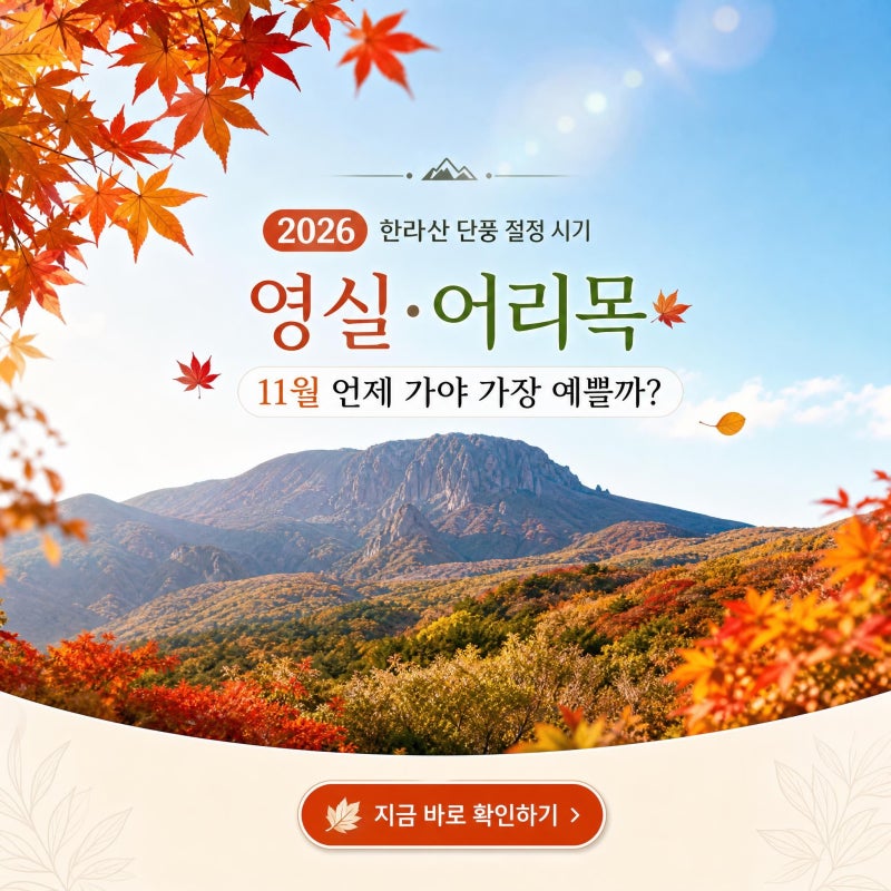 2026 한라산 단풍 절정 시기, 영실·어리목 11월 언제 가야 가장 예쁠까?