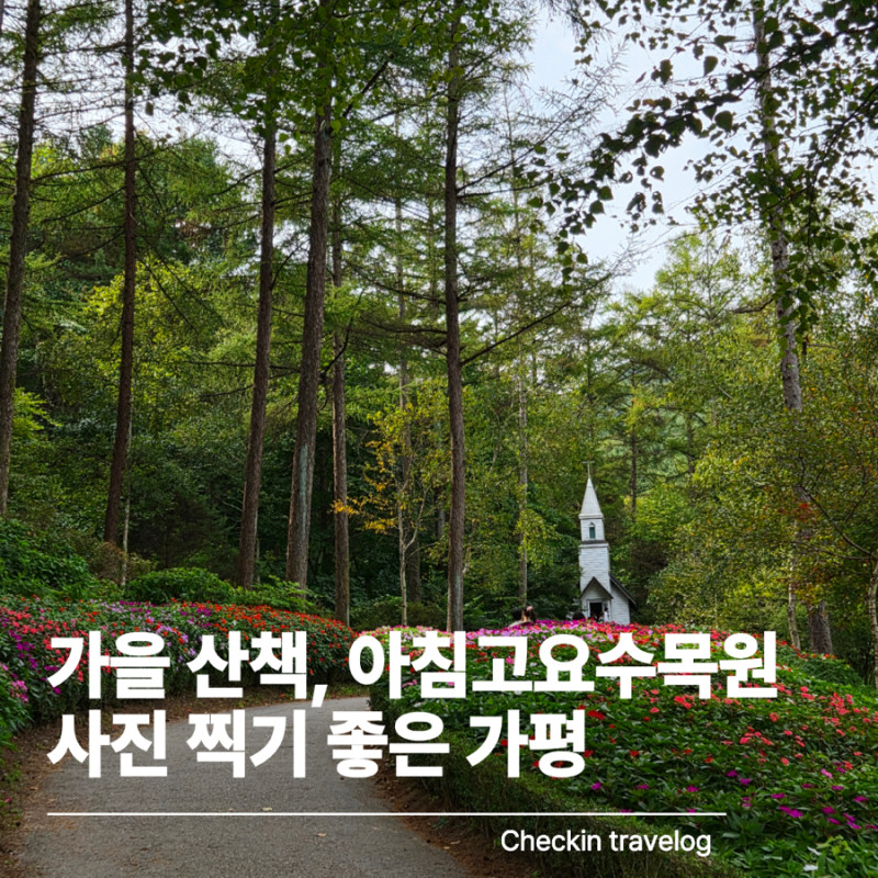 가평 아침고요수목원 10월 방문 후기｜꽃길 사이로 만난 가을