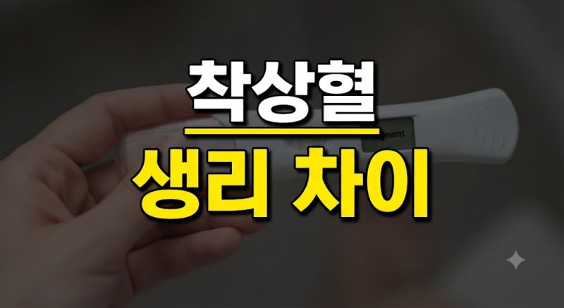 "놀라지 마세요" 착상혈 시기와 생리 차이 완벽 정리: 색깔, 양, 임신 초기 증상 구분법