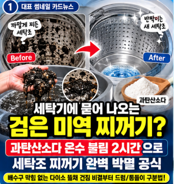 세탁조 검은 찌꺼기 냄새 청소 '이 방법'으로 돌렸더니 미역 같은 때 다 빠졌어요