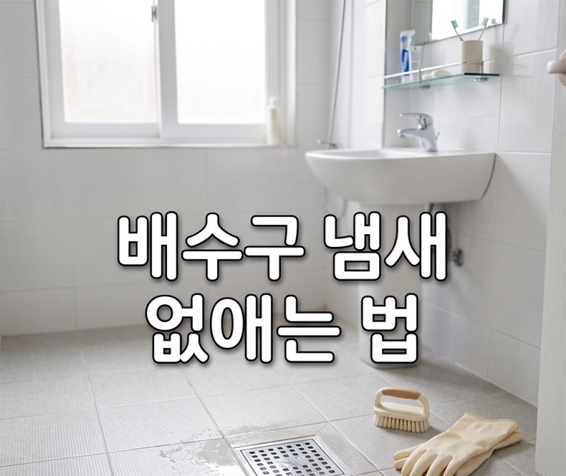배수구 냄새 없애는 법, 자취 초보가 하수구 막힘까지 해결한 순서