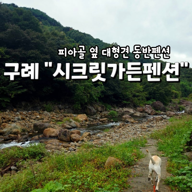 전라남도 구례_ 대형견 동반 펜션｜피아골 계곡 수영 가능한 '지리산 시크릿가든' 독채 후기