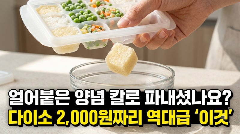 얼어붙은 양념 칼로 비벼 파내느라 손 다치기 전에.. 다이소 알알이쏙 쓰세요