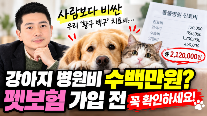 펫보험, 어릴 때 가입해야 하는 이유…슬개골 보장은 바로 될까?