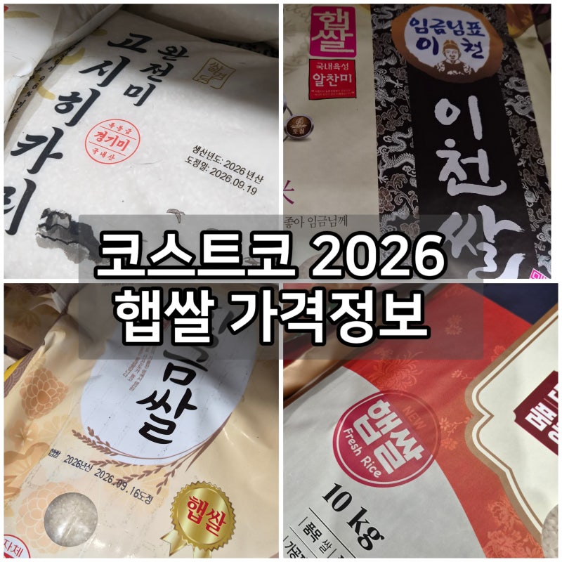 코스트코 햅쌀 종류 2026 | 이천쌀·철원오대쌀·예산황금쌀 가격, 10월 할인상품