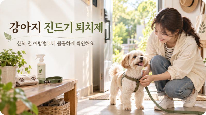 강아지 진드기 퇴치제 4종 비교, 산책 전후 확인법