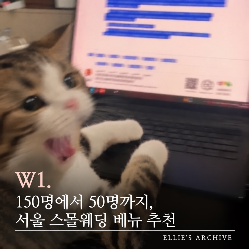 W1. 150명에서 50명까지, 서울 스몰웨딩 베뉴 추천