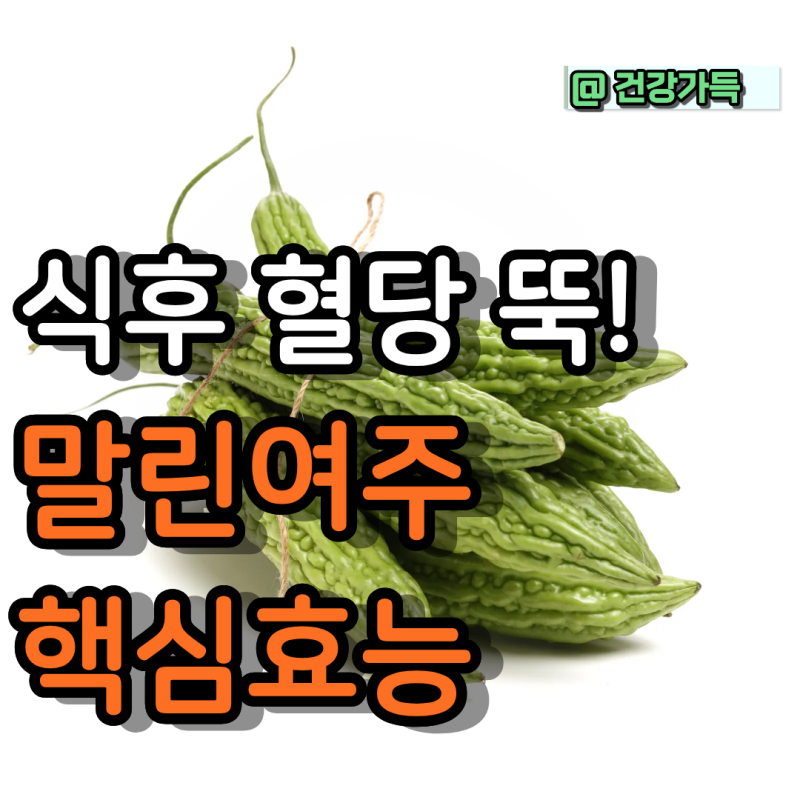 말린여주효능 및 건여주효능 총정리! 식물인슐린으로 식후 혈당 잡는 법