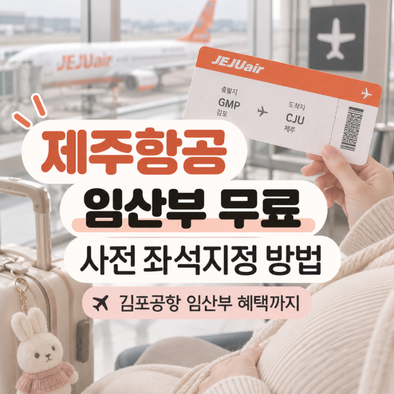 제주항공 임산부 무료 사전 좌석지정 방법ㅣ김포공항 임산부 혜택