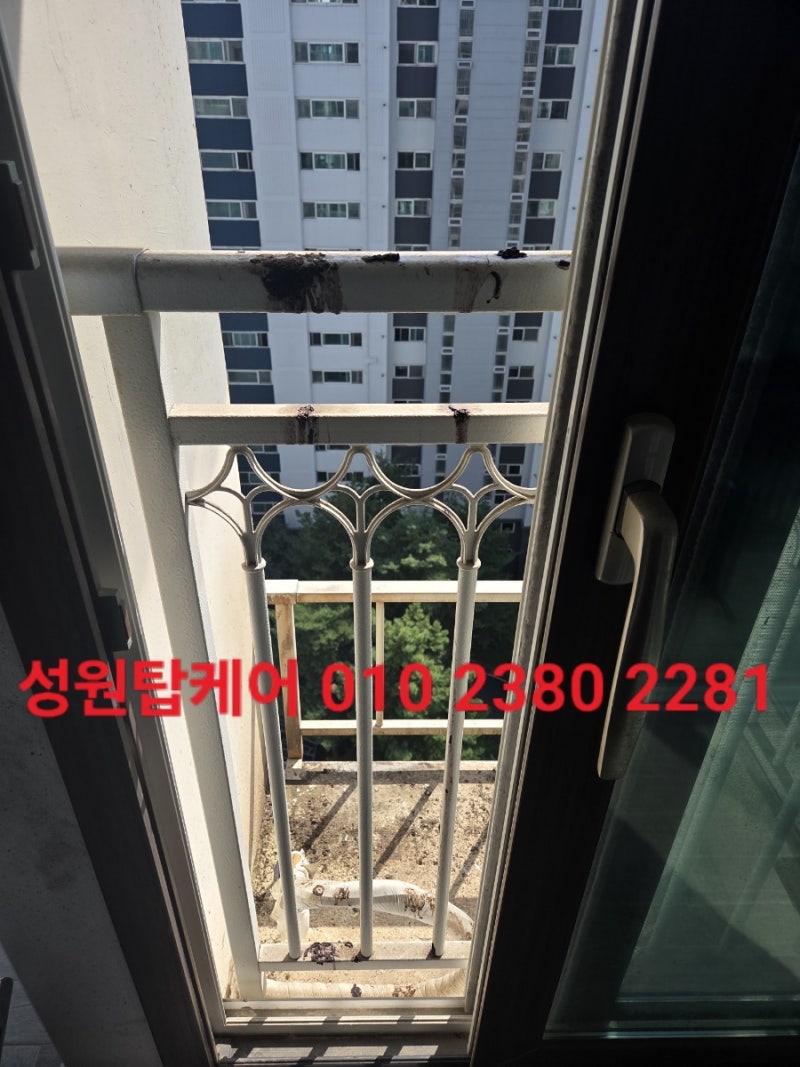 [비둘기퇴치]포항비둘기망설치 전문업체 리뷰