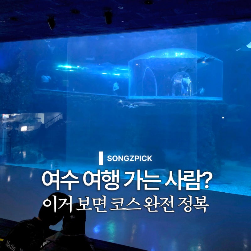 여수 가볼만한곳 6곳 추천 하루 여행코스부터 맛집까지 정리