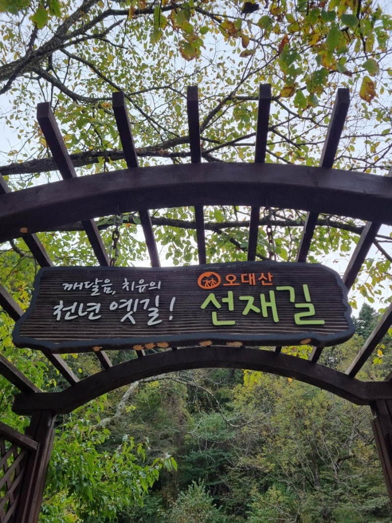 [평창여행] 오대산 단풍은 아직, 월정사 상원사