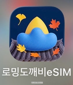 [여행] 해외여행 갈 땐? 로밍도깨비(eSIM) 강력 추천