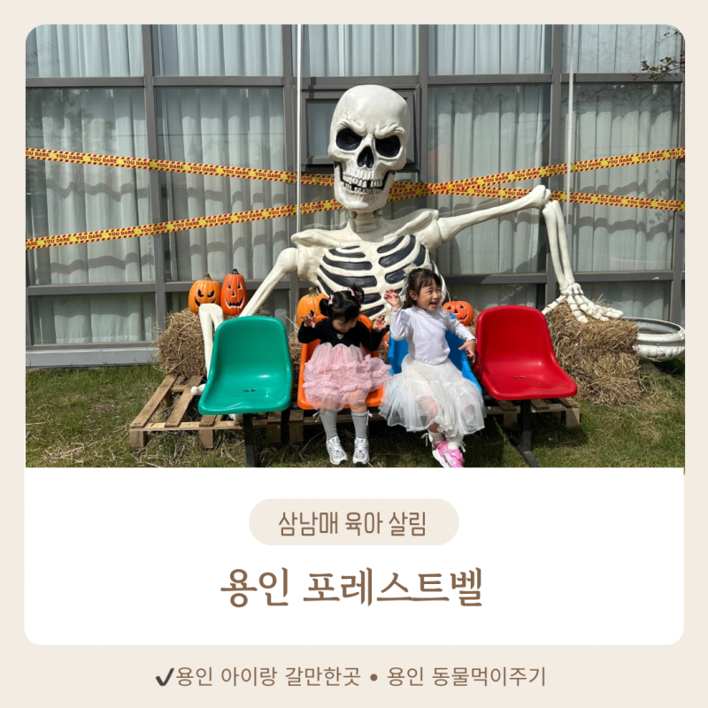 용인 포레스트벨,동물먹이주기부터 체험거리 가득한 용인 먹이주기카페,사진으로 싹 정리
