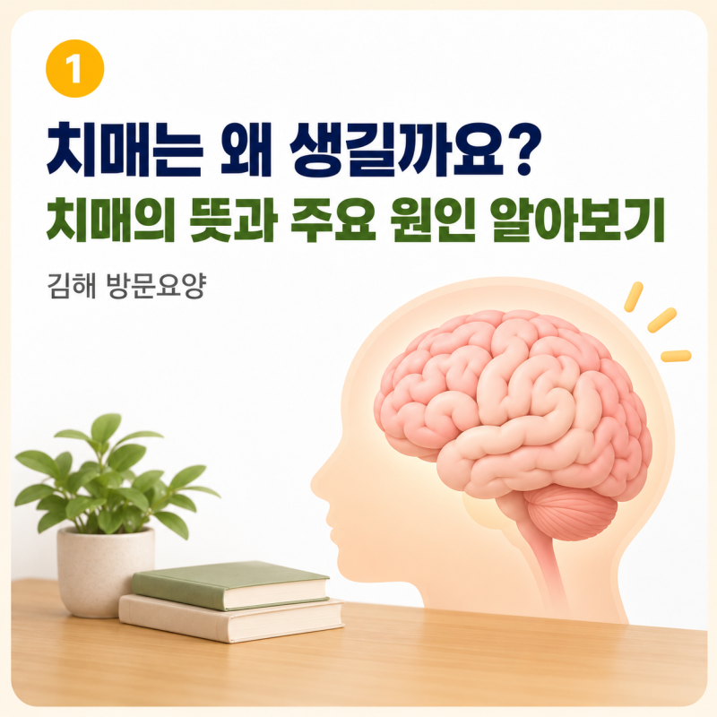 치매는 왜 생길까요? 치매의 뜻과 주요 종류