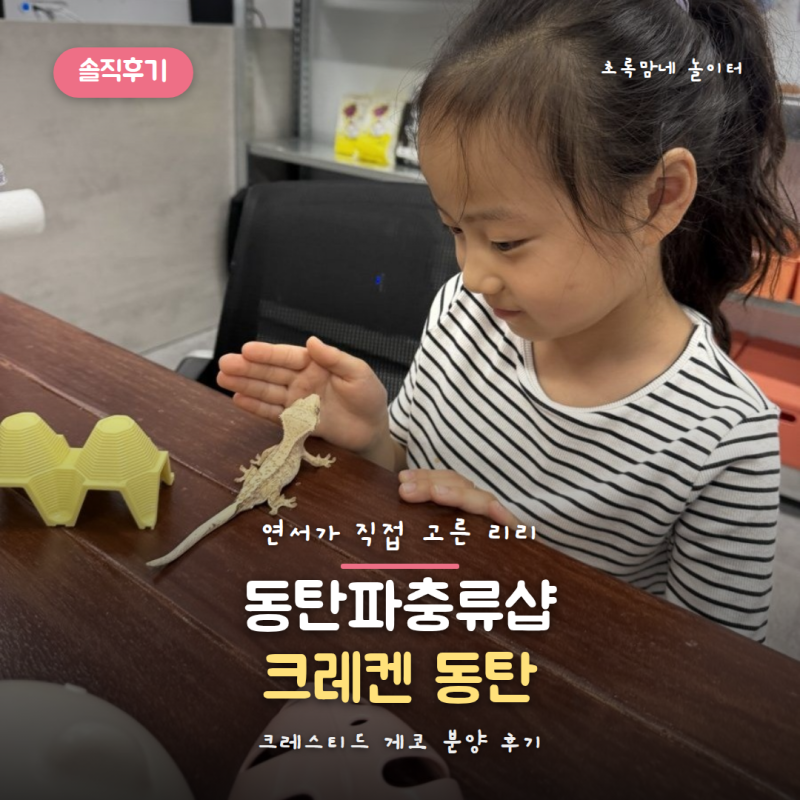 동탄파충류샵 크레켄 동탄, 크레스티드 게코 분양 후기