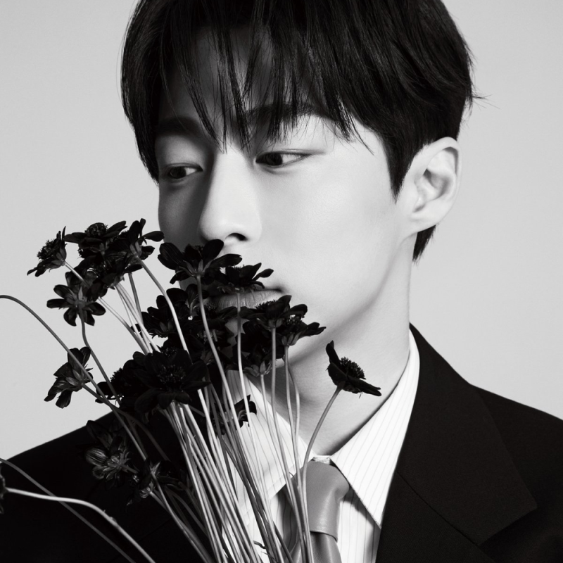 배인혁 근황, 회색 수트 프로필과 차기작 나를 지켜줘·도차비