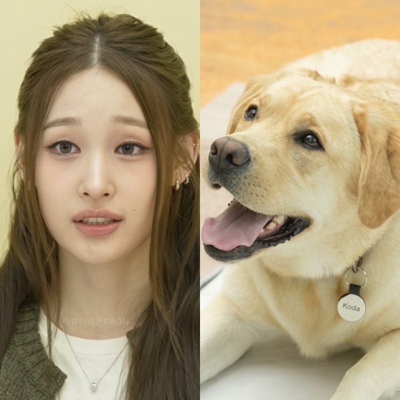 신세계 회장까지 긴장시킨 강형욱? 올데프 애니 반려견 어떻길래