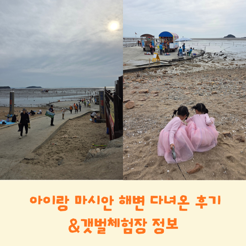 永宗島適合帶孩子去的地方 馬嘶岸海邊與孩子一同前往的後記｜停車、潮間帶體驗、潮汐表