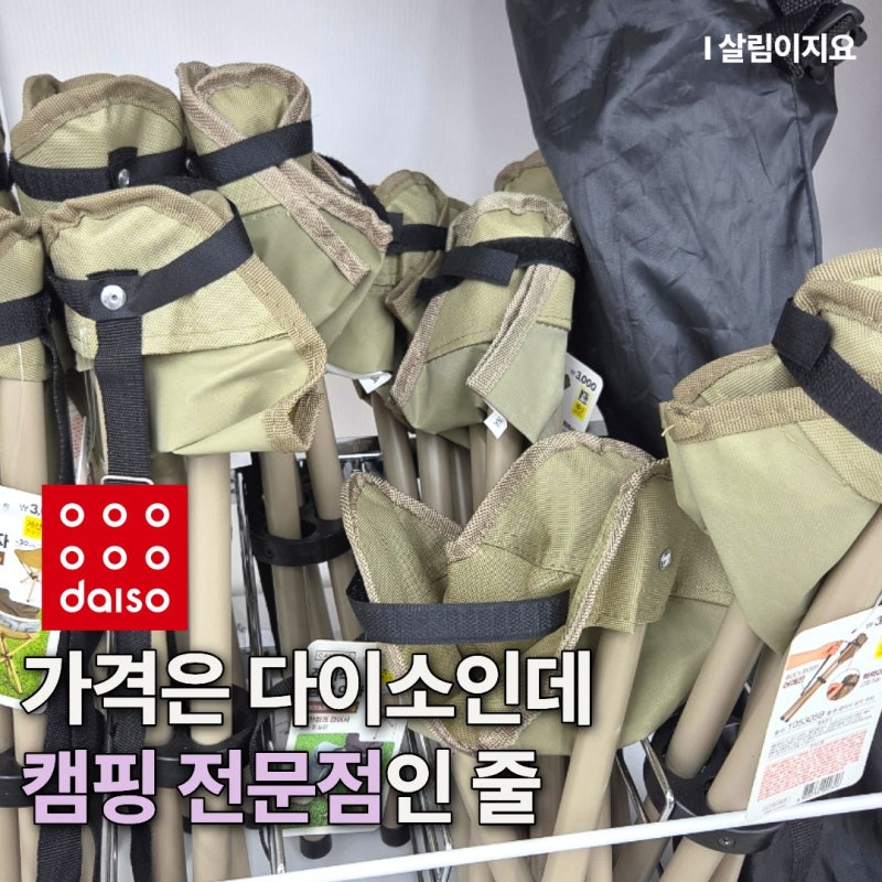 "이런 것까지 다이소에서 판다고?" 캠핑 코너 둘러보다 놀란 이유
