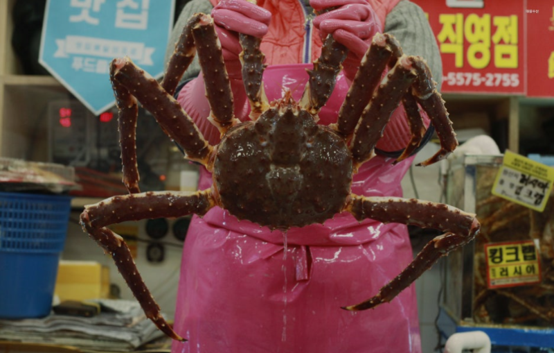 [노량진수산시장 맛집] 노량진수산시장중 Top1, 싱싱한 해산물과 제철 꽃게가 한가득인, 대원....