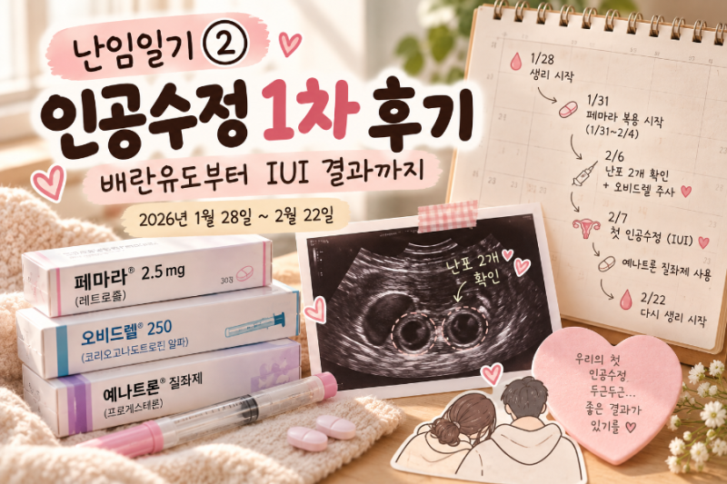난임일기 ②｜인공수정 1차 후기, 배란유도부터 IUI 결과까지