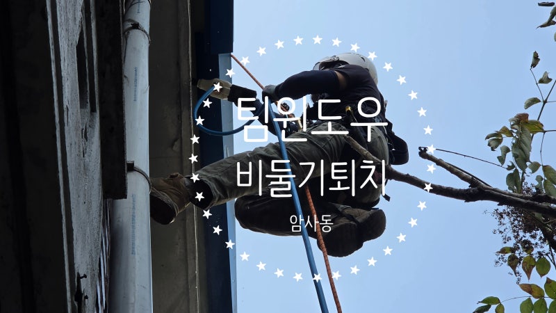비둘기 똥 피해 심각하다면??