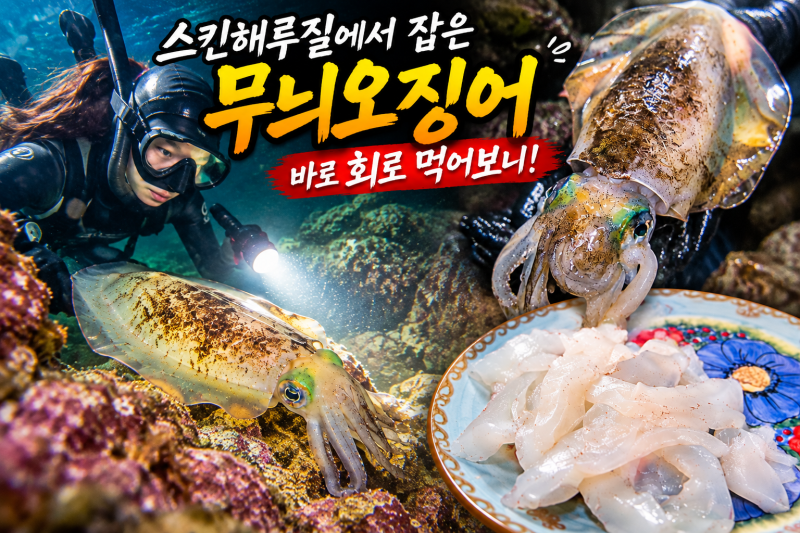 스킨해루질에서 만난 무늬오징어, 직접 잡아 회로 먹어보니 이 맛에 바다 갑니다