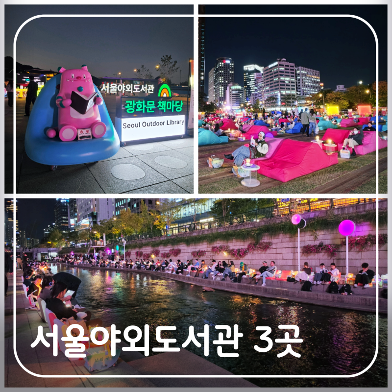 Autumn Healing in the City: 3 Seoul Outdoor Libraries (Gwanghwamun Book Plaza, Cheonggyecheon Clear Stream Reading Spot, Seoul Plaza)