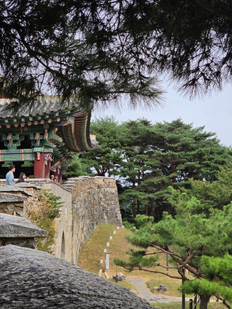 [청주 여행] 고요한 산성 산책길, 형형색색의 코스모스를 즐길 수 있는 곳, 청주 상당산성 소....