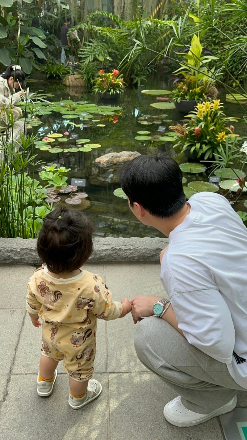 마곡 서울식물원 13개월 아기랑 가볼만한곳｜입장료 주차 임산부 할인
