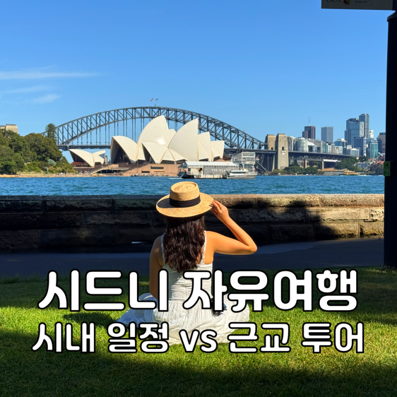 호주 여행 시드니 자유여행 포트스테판 블루마운틴 투어 후기