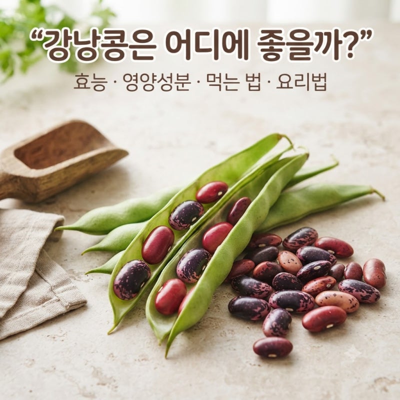 강낭콩은 어디에 좋을까? 효능·영양성분·먹는 법·요리법까지