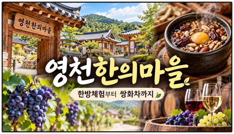 영천 가볼만한 곳 영천한의마을｜사상체질 체험부터 쌍화차·포도·영천와인까지[동네한바....