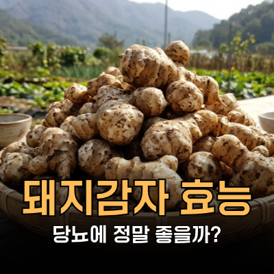 이눌린 풍부한 돼지감자 효능, 당뇨에 좋을까? 부작용, 영양성분, 돼지감자차 등 먹는법ㅣ망....