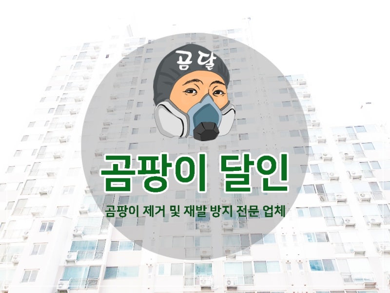 벽 곰팡이 제거 업체 곰팡이 달인 결로로 번진 창문 외벽 재발 방지 시공 후기