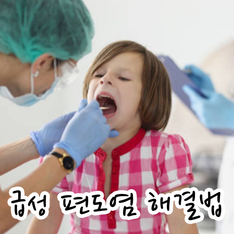 감기인 줄 알았더니? 급성 편도염 원인부터 통증 해결법까지