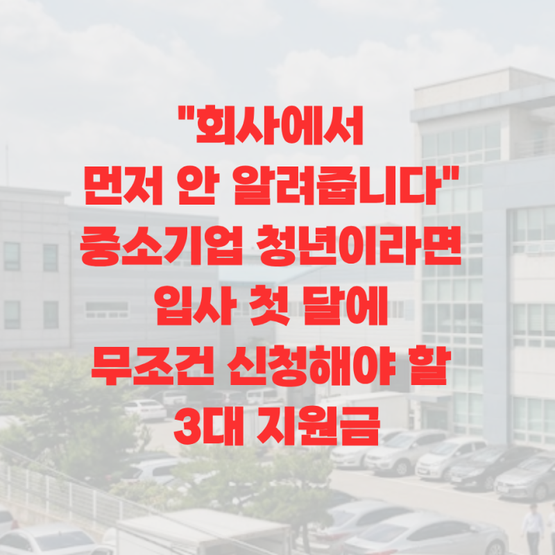 "회사에서 먼저 안 알려줍니다" 중소기업 청년이라면 입사 첫 달에 무조건 신청해야 할 3대 ....