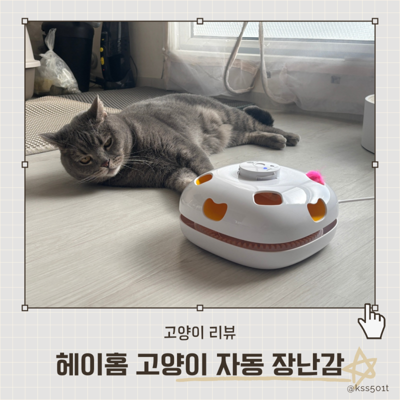 헤이홈 고양이 자동 장난감 혼자 놀 때 2년 사용 후기, 바스락 소리 단계별 사용법