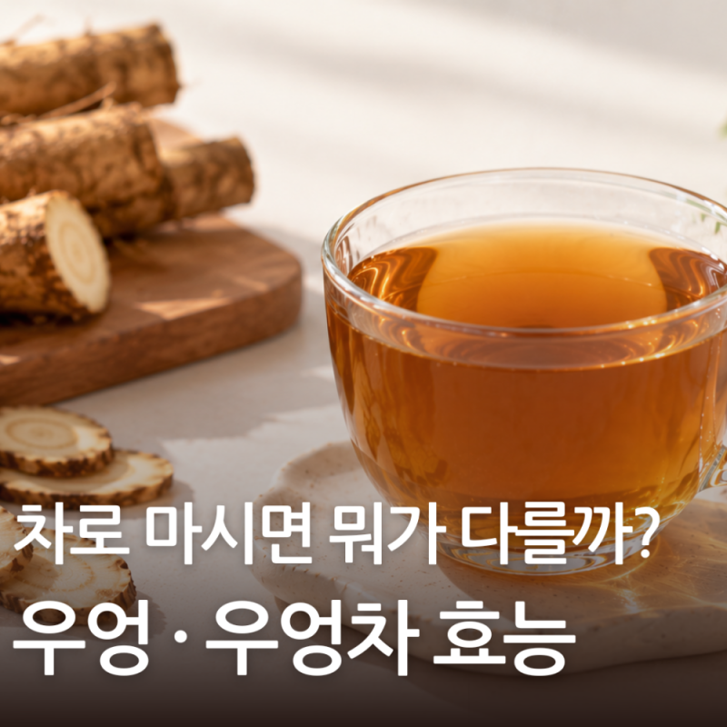 우엉 효능 우엉차 효능 차로 마시면 뭐가 다를까?